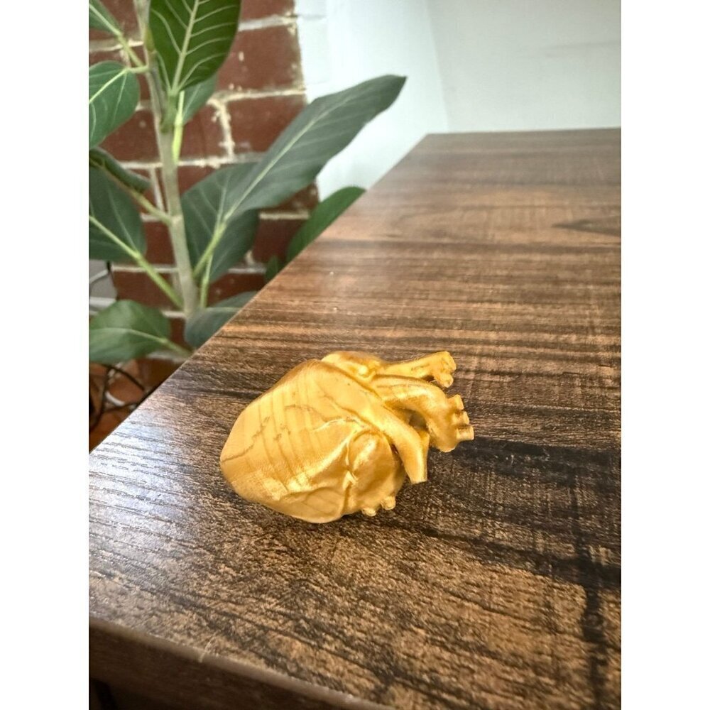 Anatomical heart 3D print